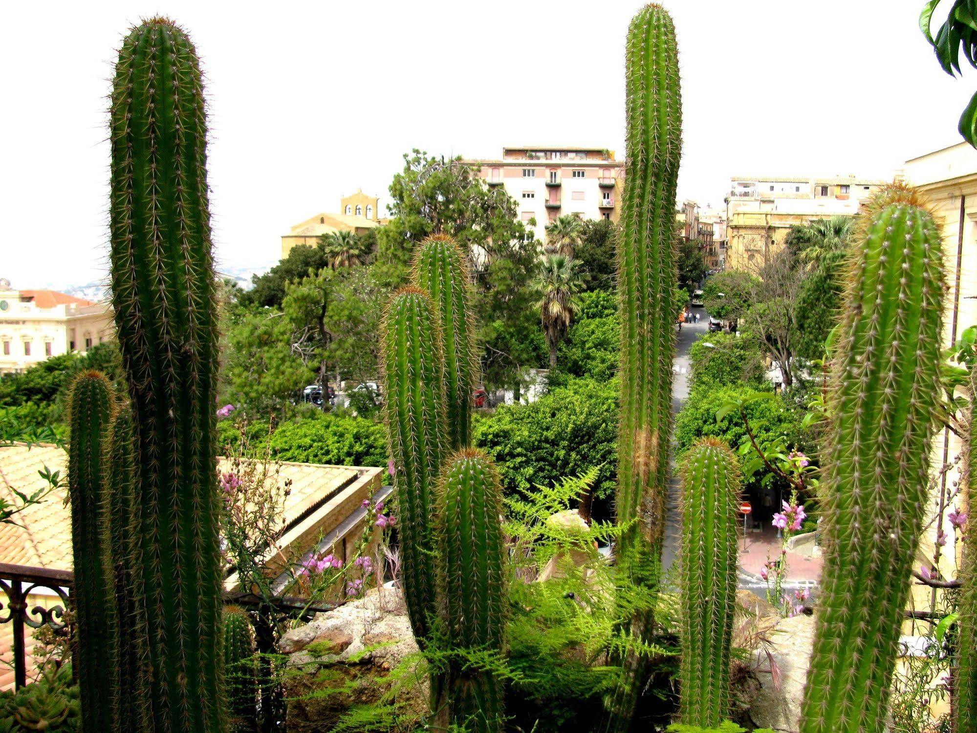 Bed & Breakfast Le Palme Agrigento Exteriör bild
